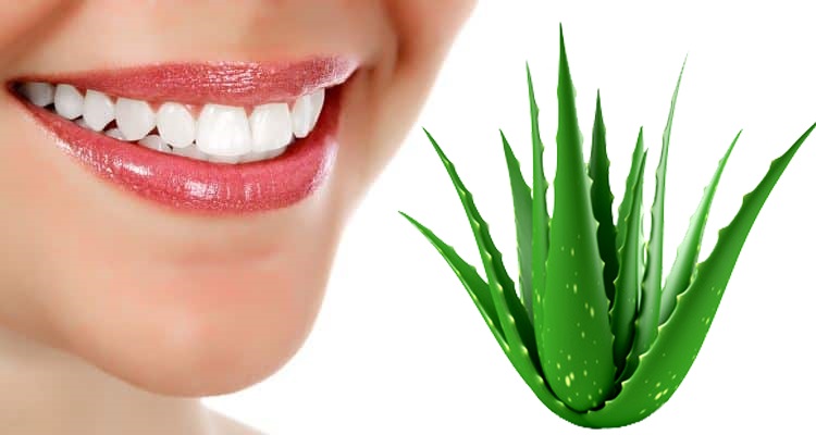Aloe Vera For Teeth