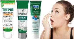 Best Toothpaste for Bad Breath