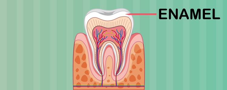 What is Tooth Enamel & Why is it Important